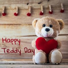 Teddy Day – valentine day facts