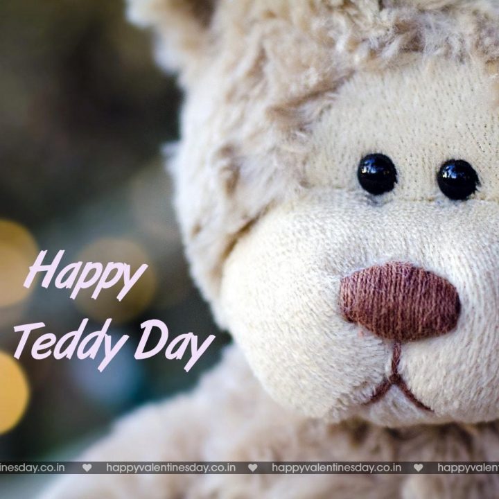 Teddy Day – ecards funny