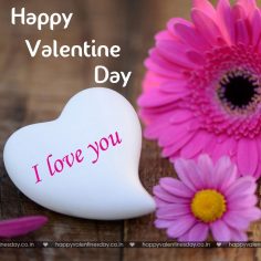 Valentine Day Messages – free ecards funny